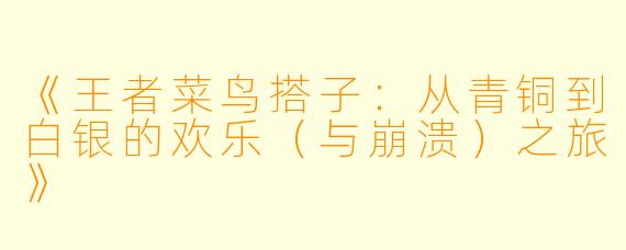 《王者菜鸟搭子：从青铜到白银的欢乐（与崩溃）之旅》
