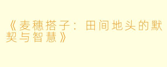 《麦穗搭子：田间地头的默契与智慧》