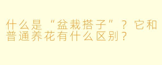 什么是“盆栽搭子”？它和普通养花有什么区别？
