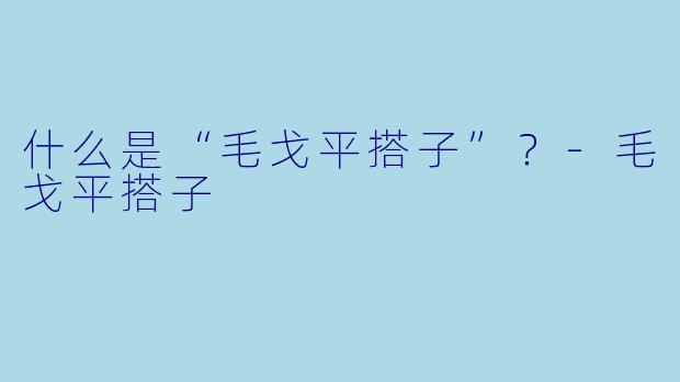 什么是“毛戈平搭子”？-毛戈平搭子