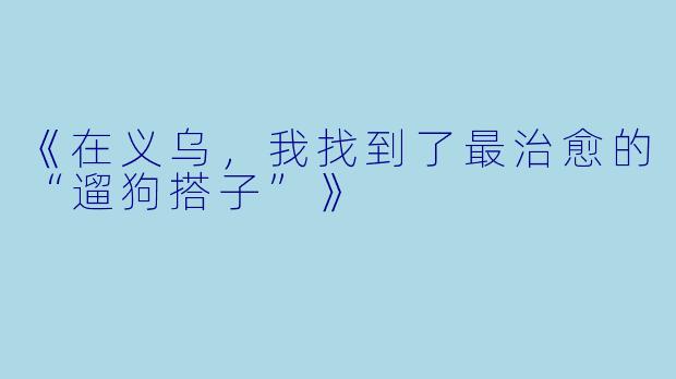 《在义乌，我找到了最治愈的“遛狗搭子”》
