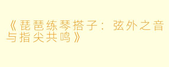 《琵琶练琴搭子：弦外之音与指尖共鸣》