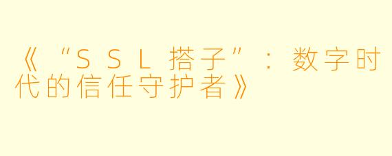 《“SSL搭子”：数字时代的信任守护者》