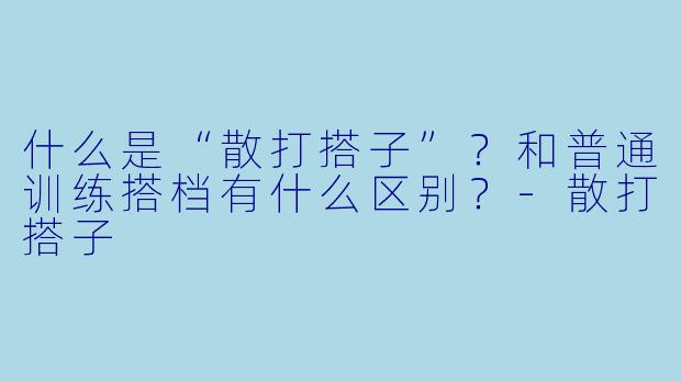什么是“散打搭子”？和普通训练搭档有什么区别？-散打搭子