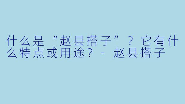 什么是“赵县搭子”？它有什么特点或用途？-赵县搭子