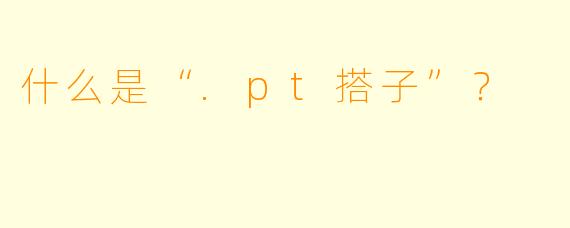 什么是“.pt搭子”？
