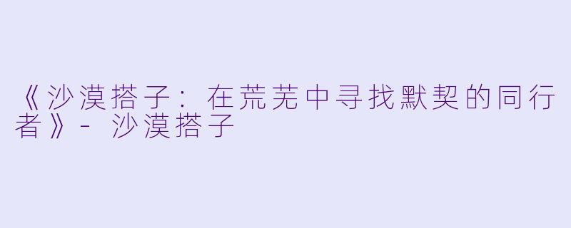 《沙漠搭子：在荒芜中寻找默契的同行者》-沙漠搭子