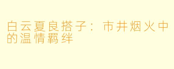 白云夏良搭子：市井烟火中的温情羁绊