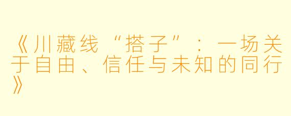 《川藏线“搭子”：一场关于自由、信任与未知的同行》