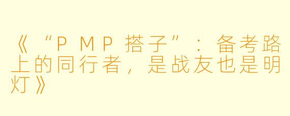 《“PMP搭子”：备考路上的同行者，是战友也是明灯》