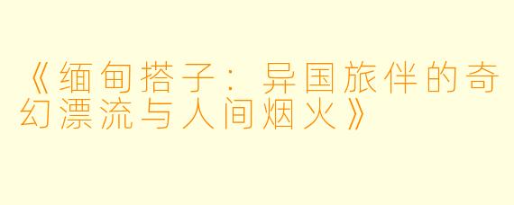 《缅甸搭子：异国旅伴的奇幻漂流与人间烟火》
