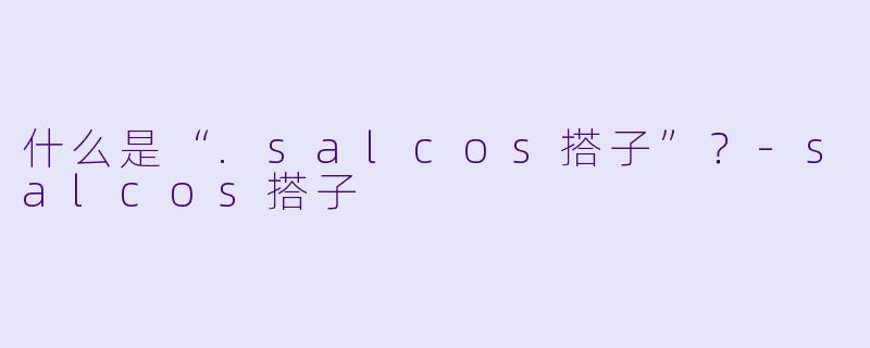 什么是“.salcos搭子”？-salcos搭子
