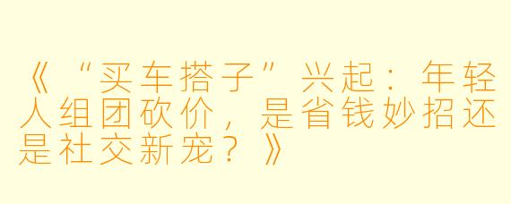 《“买车搭子”兴起：年轻人组团砍价，是省钱妙招还是社交新宠？》