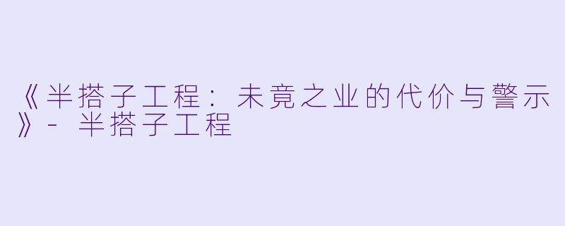 《半搭子工程：未竟之业的代价与警示》-半搭子工程