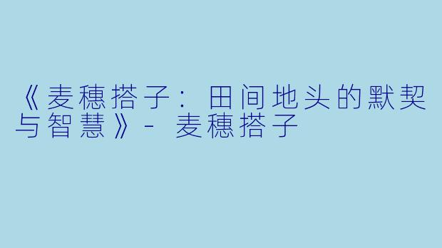 《麦穗搭子:田间地头的默契与智慧》