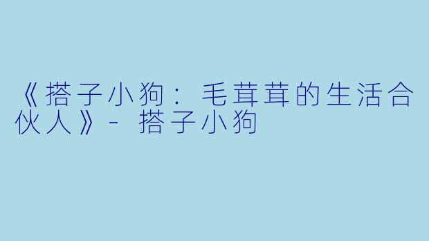 《搭子小狗：毛茸茸的生活合伙人》-搭子小狗