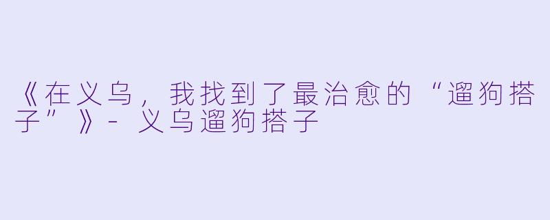 《在义乌，我找到了最治愈的“遛狗搭子”》-义乌遛狗搭子