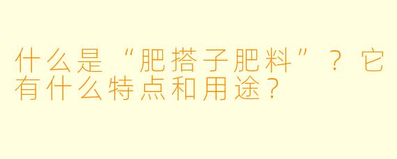 什么是“肥搭子肥料”？它有什么特点和用途？