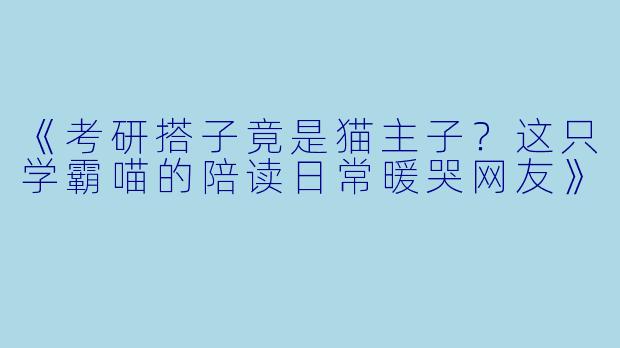 《考研搭子竟是猫主子？这只学霸喵的陪读日常暖哭网友》