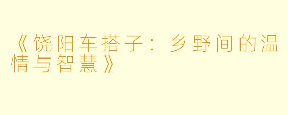 《饶阳车搭子：乡野间的温情与智慧》