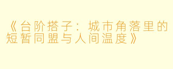 《台阶搭子：城市角落里的短暂同盟与人间温度》