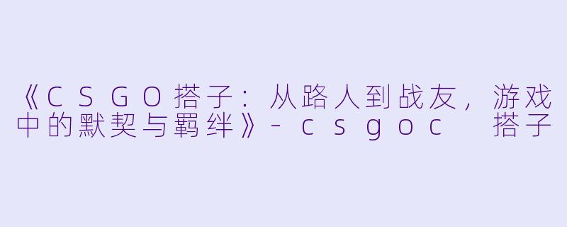《CSGO搭子：从路人到战友，游戏中的默契与羁绊》-csgoc 搭子
