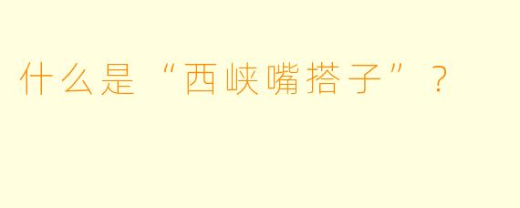 什么是“西峡嘴搭子”？