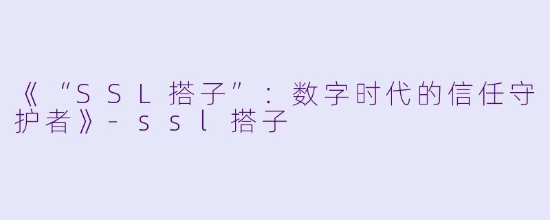 《“SSL搭子”：数字时代的信任守护者》-ssl搭子