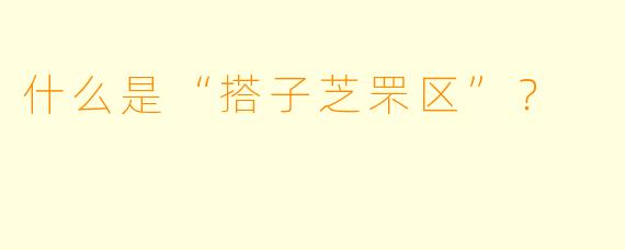 什么是“搭子芝罘区”？