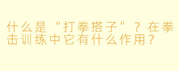 什么是“打拳搭子”？在拳击训练中它有什么作用？