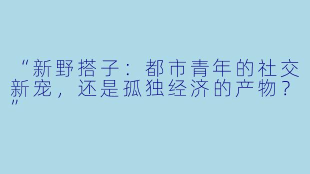 “新野搭子：都市青年的社交新宠，还是孤独经济的产物？”