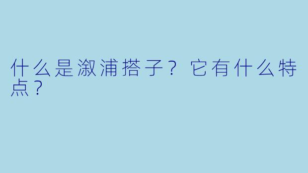 什么是溆浦搭子？它有什么特点？