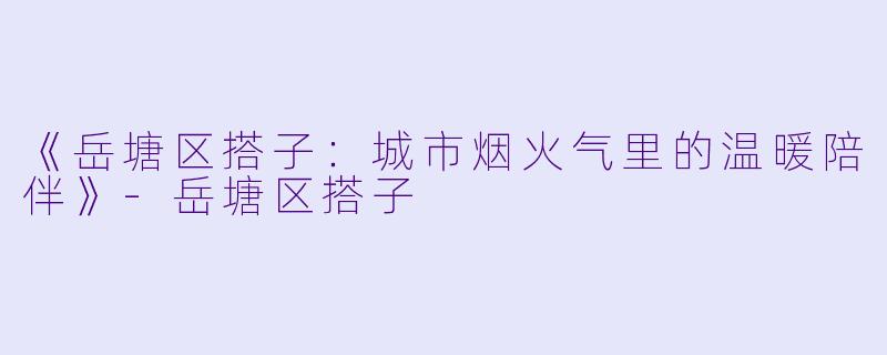 《岳塘区搭子：城市烟火气里的温暖陪伴》