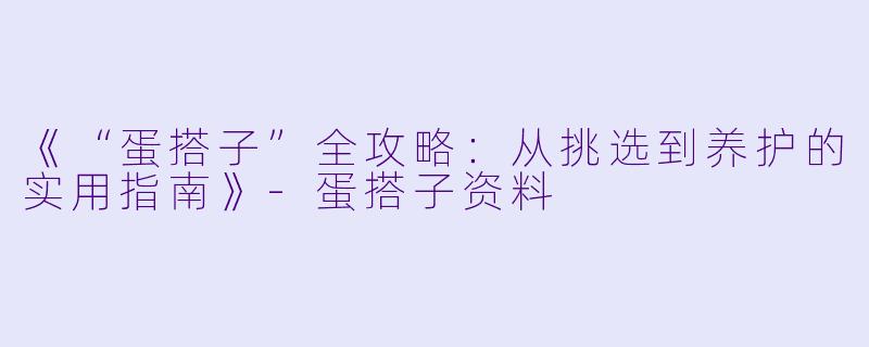 《“蛋搭子”全攻略：从挑选到养护的实用指南》-蛋搭子资料