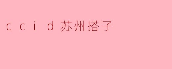 ccid苏州搭子