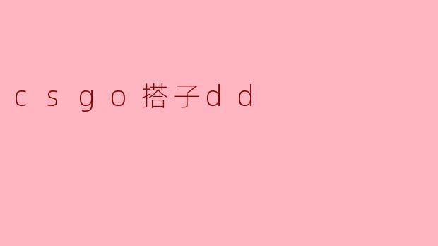 csgo搭子dd
