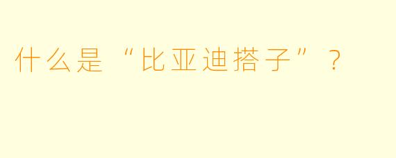 什么是“比亚迪搭子”？