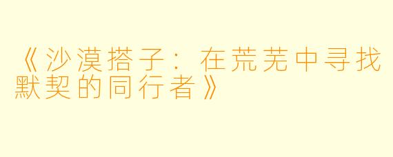 《沙漠搭子：在荒芜中寻找默契的同行者》