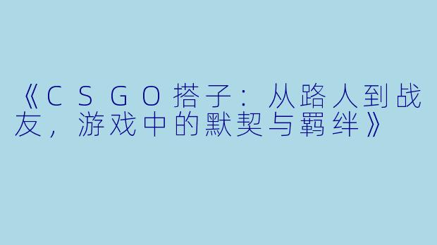 《CSGO搭子：从路人到战友，游戏中的默契与羁绊》