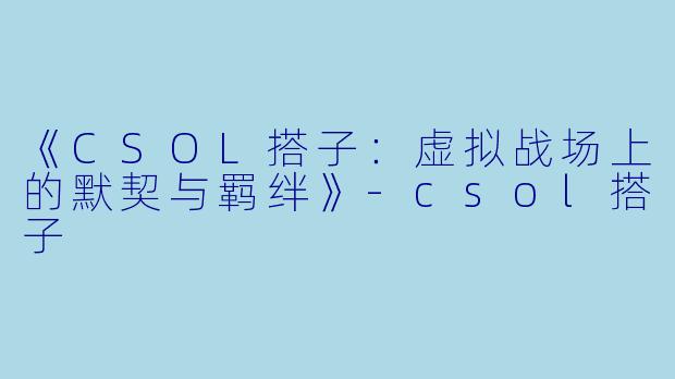 《CSOL搭子：虚拟战场上的默契与羁绊》-csol搭子
