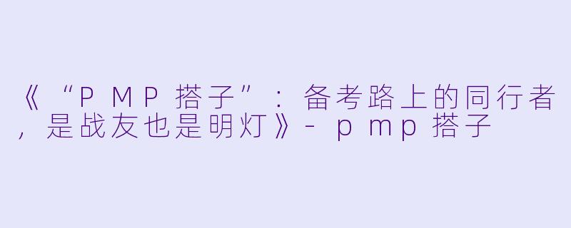 《“PMP搭子”：备考路上的同行者，是战友也是明灯》-pmp搭子