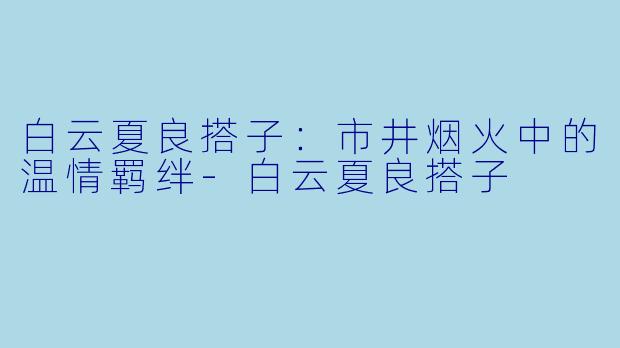 白云夏良搭子：市井烟火中的温情羁绊-白云夏良搭子