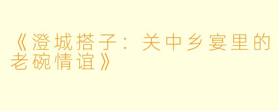 《澄城搭子：关中乡宴里的老碗情谊》