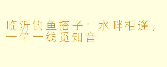 临沂钓鱼搭子：水畔相逢，一竿一线觅知音