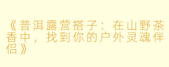 《普洱露营搭子：在山野茶香中，找到你的户外灵魂伴侣》