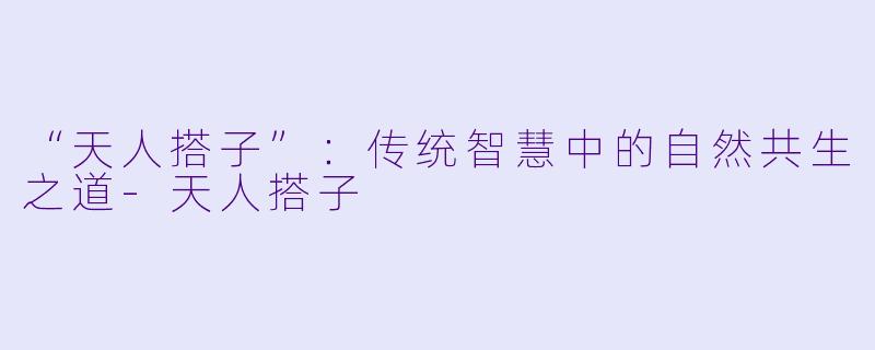 “天人搭子”：传统智慧中的自然共生之道-天人搭子