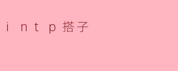 intp搭子