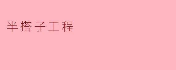 半搭子工程