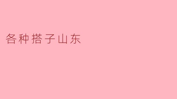 各种搭子山东