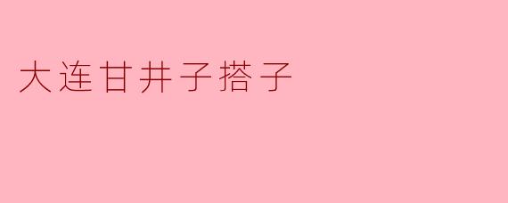 大连甘井子搭子